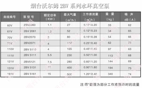 2BV系列液環(huán)真空泵型號參數